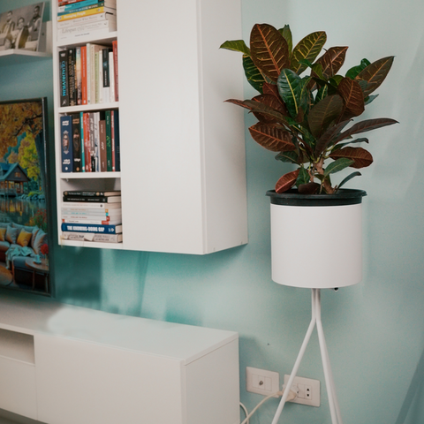 Terra Tall Cylindrical Metal Planter — product photograph | حوض زرع تيرا المعدني الأسطواني المرتفع — صورة للمنتج