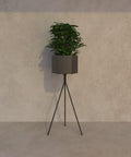 Modern hexagonal planter pot with tall elegant profile for indoor or outdoor decoration وعاء زرع سداسي مودرن بملف أنيق للمساحات الداخلية والخارجية