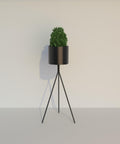 Modern minimalist terra planter pot for indoor or outdoor plants وعاء زرع تيرا مودرن بسيط للنباتات الداخلية والخارجية