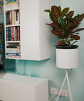 Modern minimalist terra planter pot for indoor or outdoor plants وعاء زرع تيرا مودرن بسيط للنباتات الداخلية والخارجية